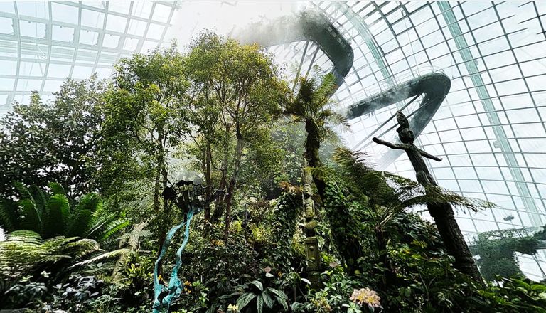 cloudforest_tour