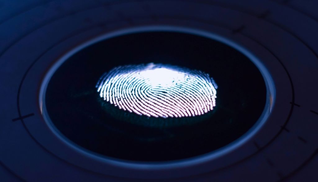 nec biometrics