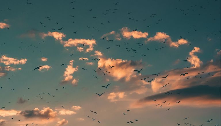 how government agencies can make full use of the cloud hyperforce