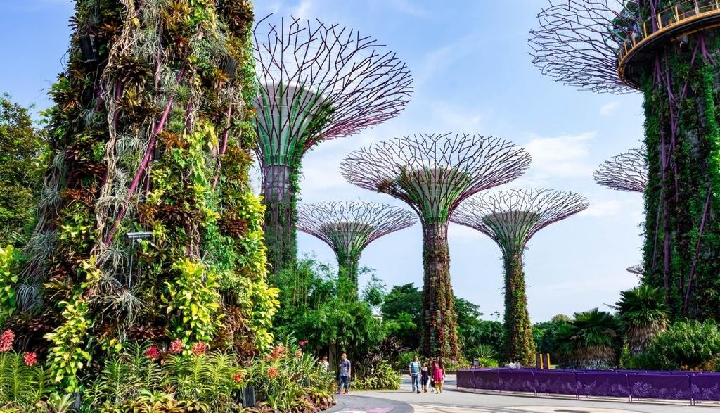 Singapore green cities gardens by the bay