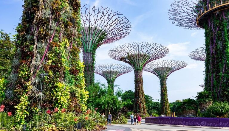 Singapore green cities gardens by the bay