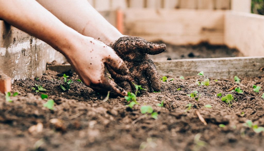 Teaching young people about the climate crisis means rethinking education